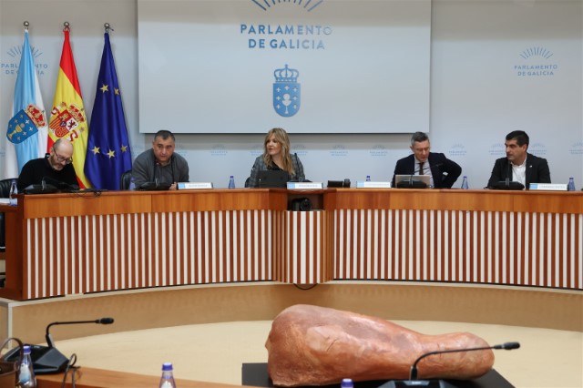 Acordos aprobados na reunión da Comisión 6ª, Industria, Enerxía, Comercio e Turismo, celebrada o 19 de decembro de 2025